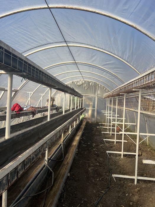 Structura metalica cu ghivece