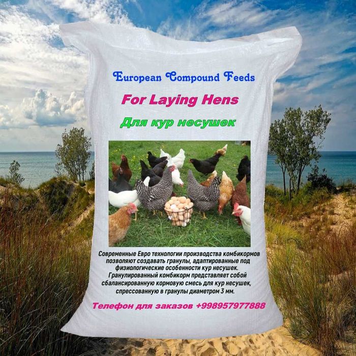 Комбикорм для кур. Tovuqlar uchun ozuqa yem.