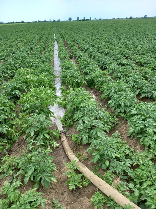 Foraje puțuri denisipari prelungiri