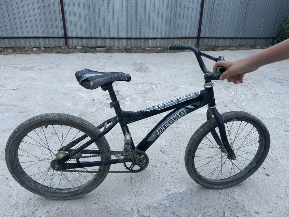 Велик бушный.