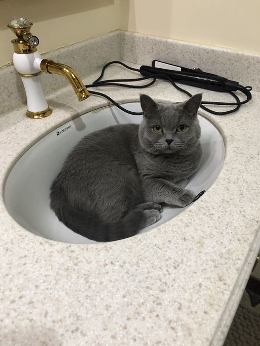 Отдам в добрые руки