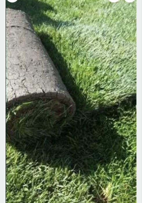 Gazon Rulou- Montaj Rapid si Curat