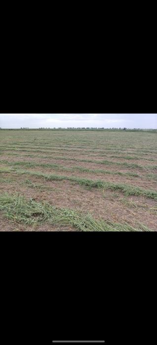 Сено рулоны продаем с доставкой.
