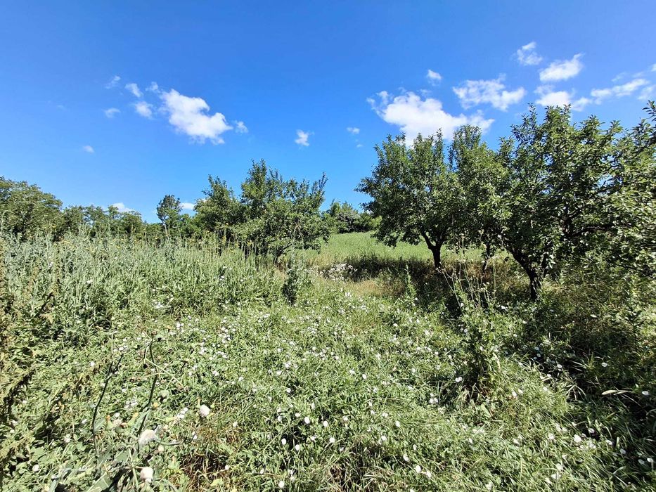 Casă de vânzare în centrul comunei Sânger, județul Mureș – 100 mp + teren intravilan 3.300 mp