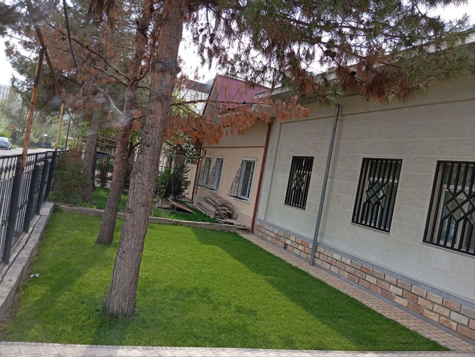 Газон рулоный семеной