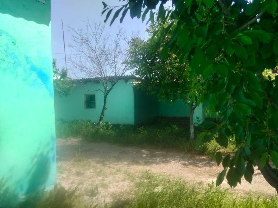 Uy sotiladi 12 sotix