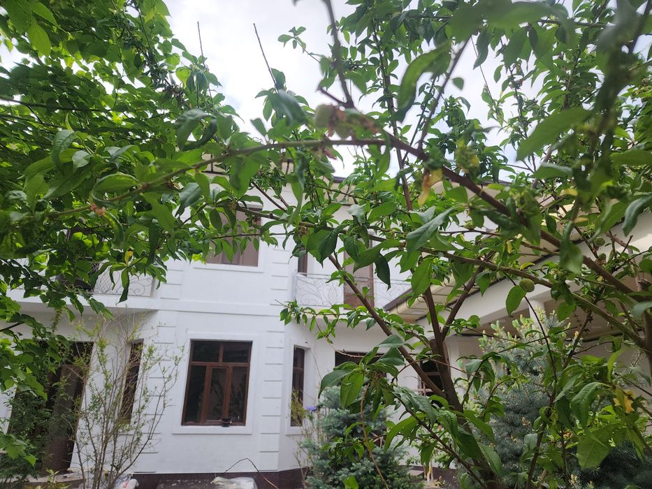 СРОЧНО Продается  Хасанбой, ширибом Новый дом 5 сот 500 квадрат