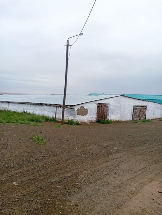 Продается действующее КХ