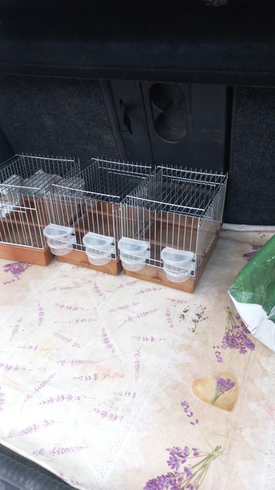 Colivii c2  de cântec