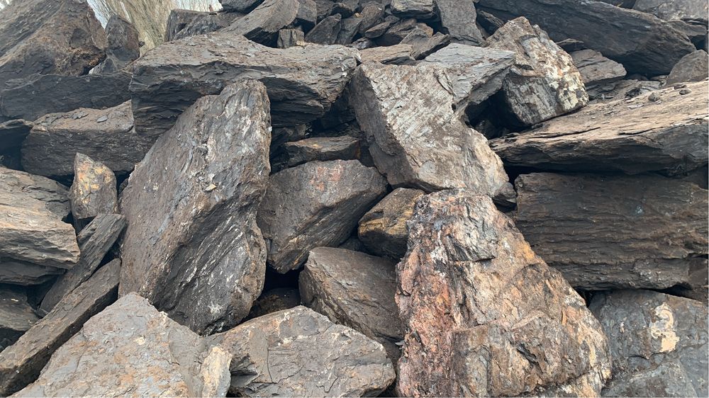 Carbune lignit pentru centrale