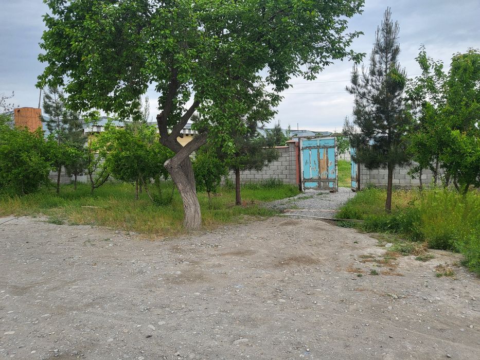 Chek sotiladi 2 xona uyi bor 12 soti