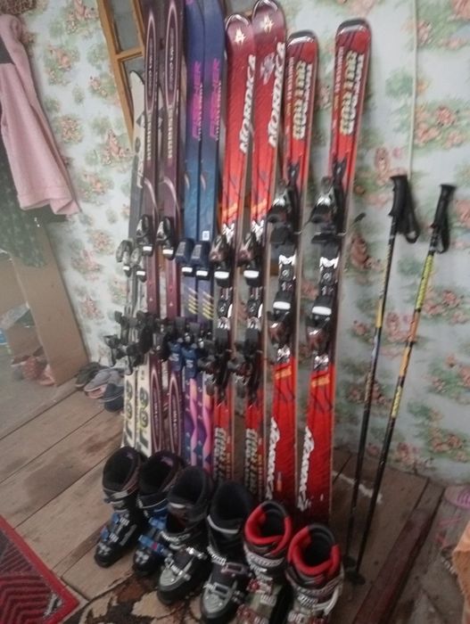 Sciuri de vânzare la 5 mil perechea aduși  din Austria sunt folosite