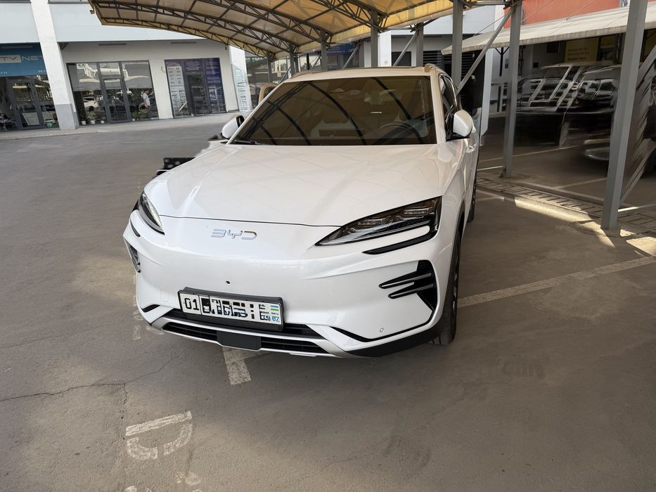 Byd chempion Restayling 2024