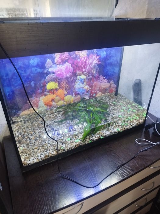 Продам Аквариум.
