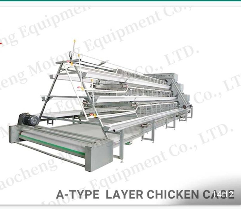 Товуқ қафас катаклар