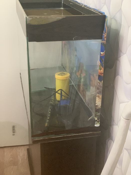 Продом акварум нет загрязнений