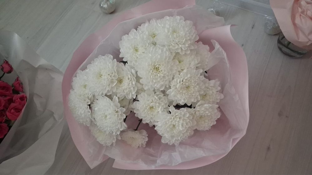 Цветы красивые свежие