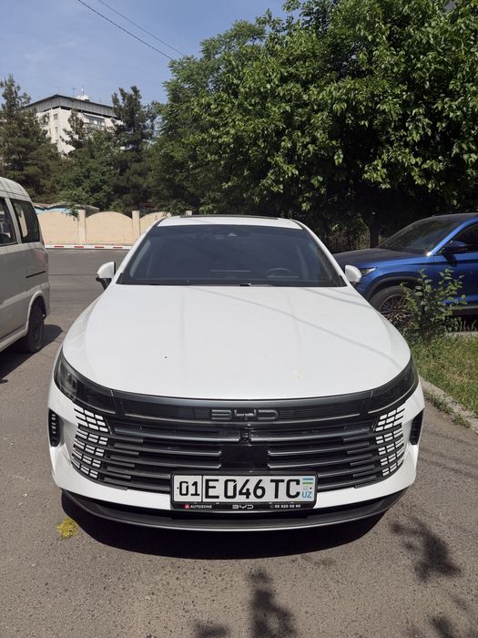 BYD Chazor 2024 — 2