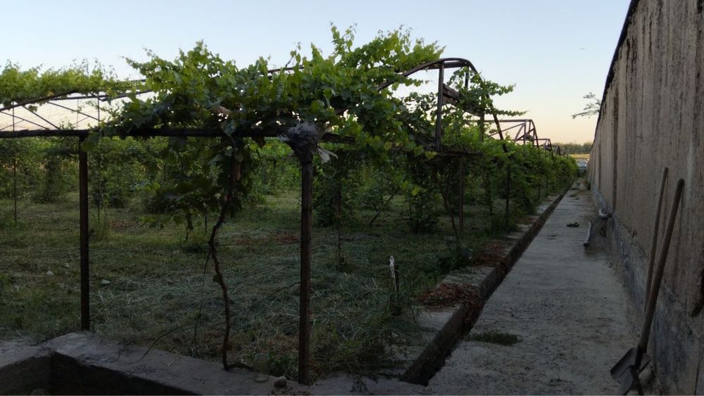 Uy xonadon sotiladi nazarbek obod mahallada