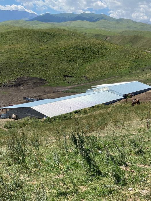 Продаёться фазенда