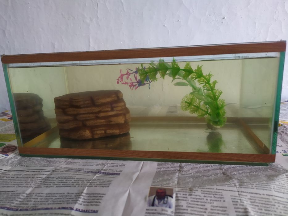 Аквариум для черепах. Бонусы.