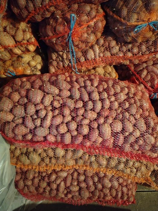 De vinzare cartofi și morcovi animale