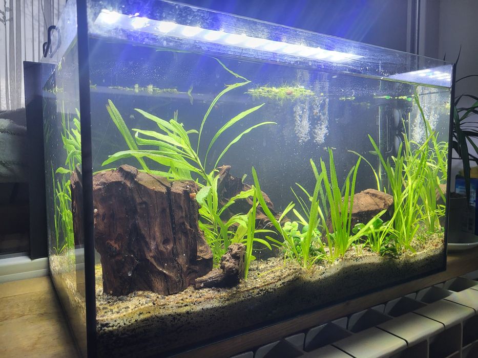 Acvariu (fara vietuitoare)