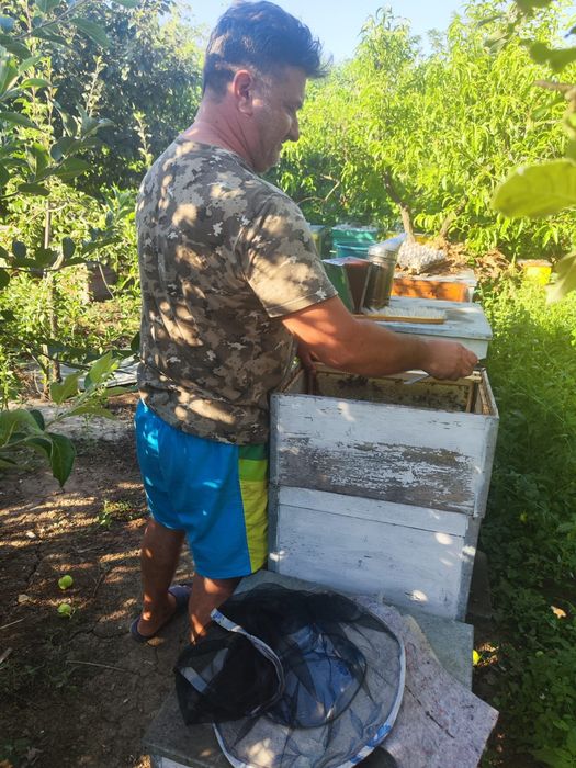Vand familii si roiuri de albine