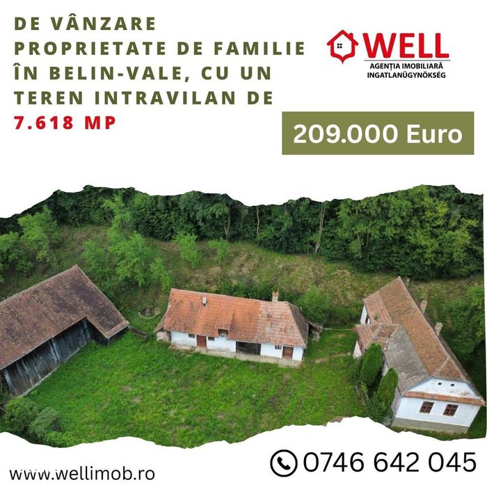 De vânzare proprietate de familie în Belin-Vale