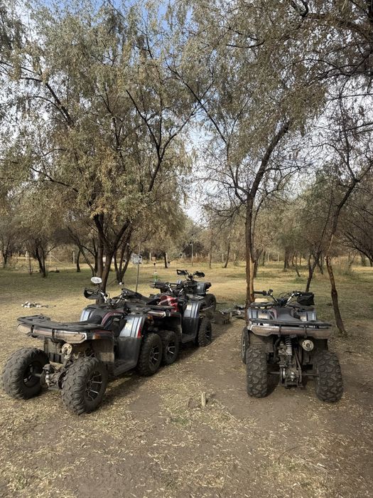 Продаю 6 квадроцыклов 250 кубовые