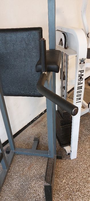 Професионална подвижна пейка Precor icarian,скрипец