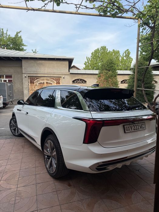 Hongqi Hongqi E HS9