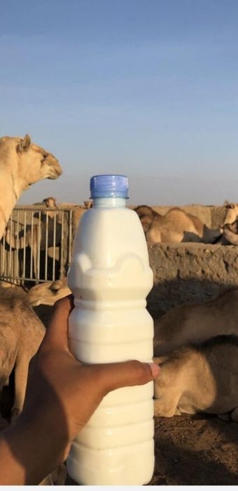 Шұбат Қызыл-орда