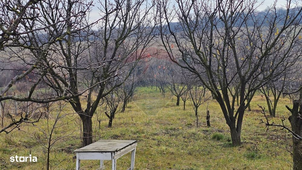 Teren extravilan 10,791mp Falticeni / Strada DJ209A, Opriseni