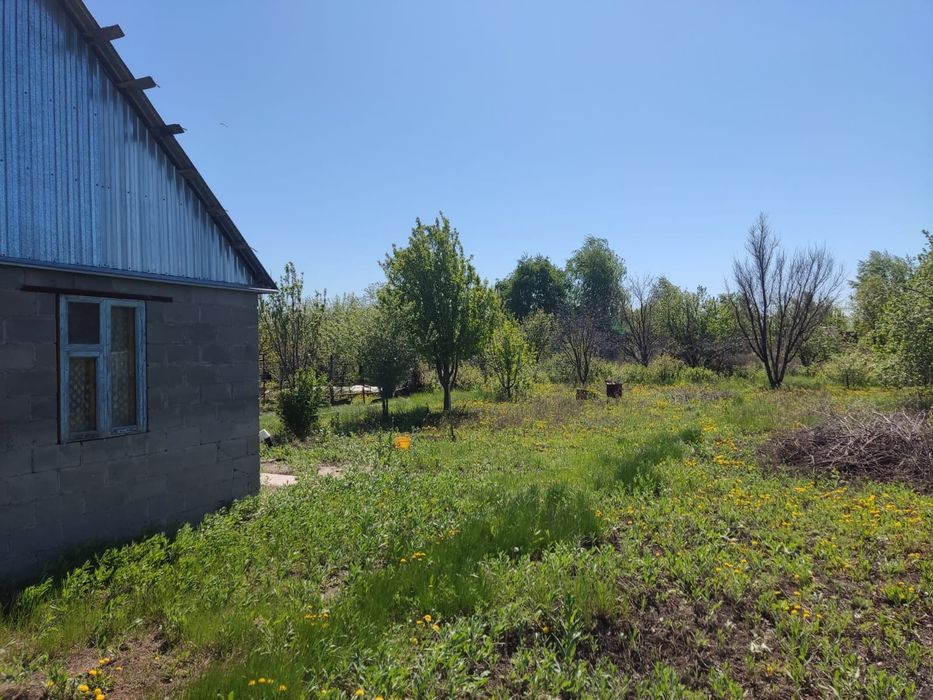 Дача почти на берегу озера ,,едучее,,