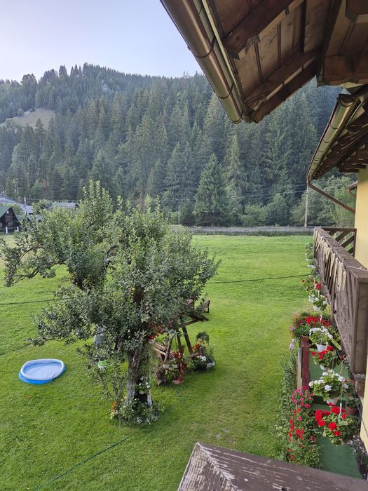 Cazare Moeciu de Sus