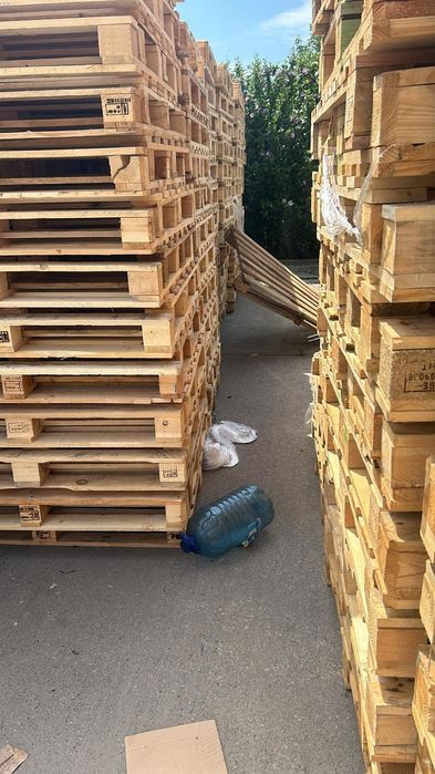 Vând paleti euro și non euro
