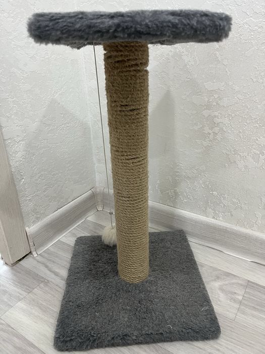 Когтеточка для кошек
