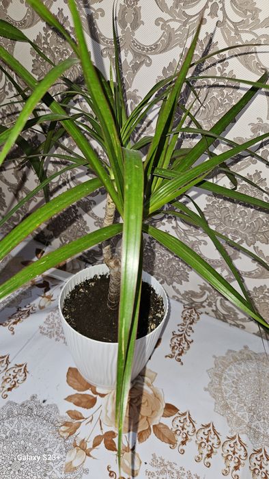 Скидка от 1500тг продам