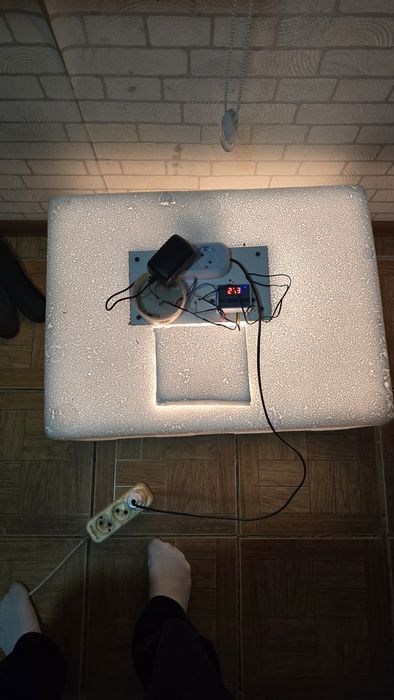 Ручной инкубатор яйцо цыплята балапан