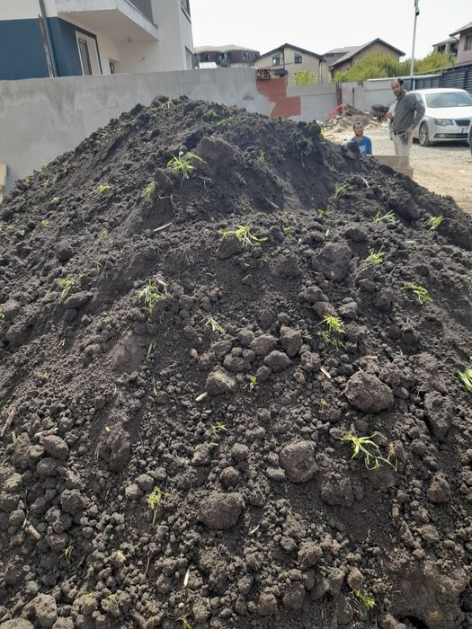Pământ de umplutura pământ gradina pământ vegetal pamant negru nisip