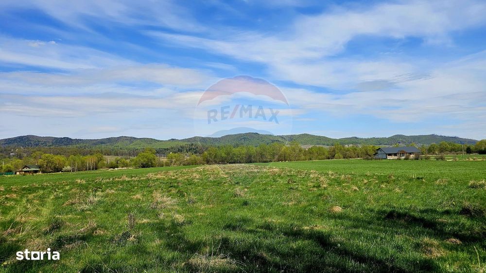 Teren 10,000mp Nemtisor / DJ 155C