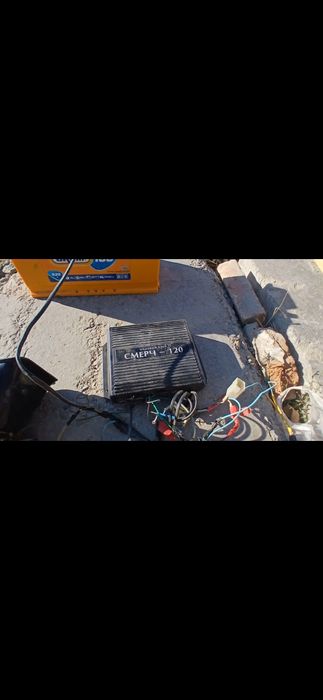 Сгу элина оригинал