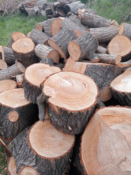 Продам дрова карагаш