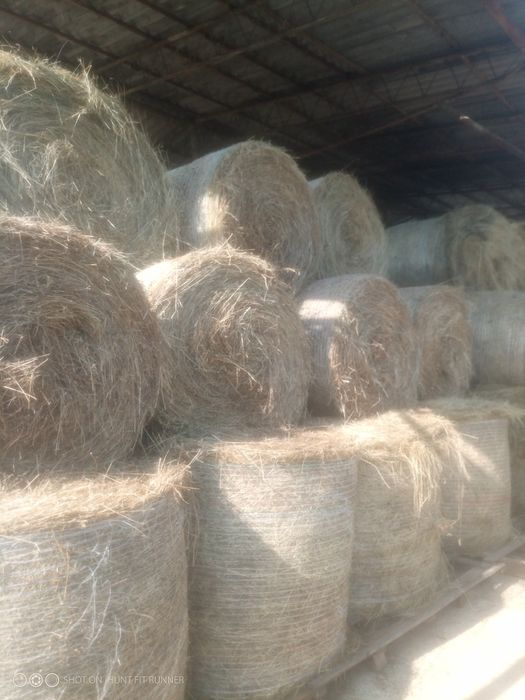 Baloti  rotunzi , lucerna , fân, ovăz