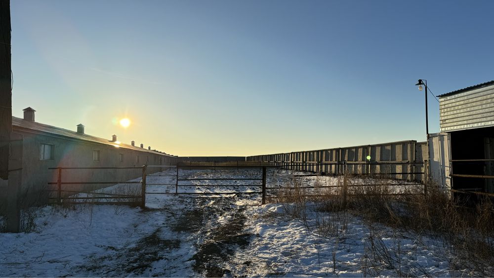 Крестьянское хозяйство