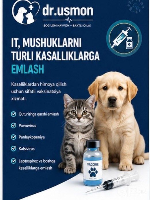 Sifatli veterinariya xizmati 24/7