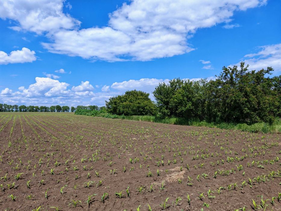 Продава се Парцел в Добрич, Автогара - 2869 кв.м за 7 €/кв.м - Снимка #1