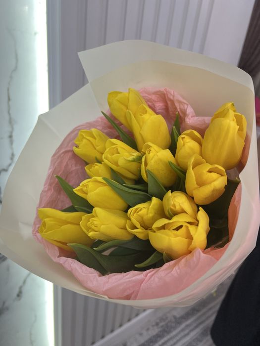 Жёлтые тюльпаны
