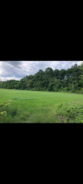Teren intravilan la pădure pt cartier case, salon evenimente,cabane